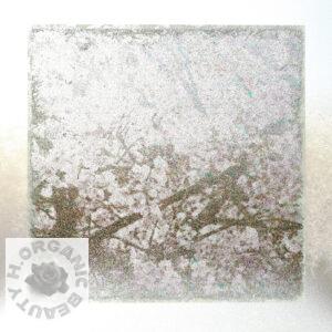 Cherry blossoms brand-new