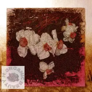 Heart-shaped Daffodils