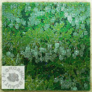 Many Enkianthus perulatus