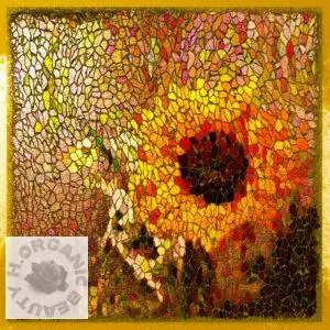 Sunflower and Phalaenopsis Orchid