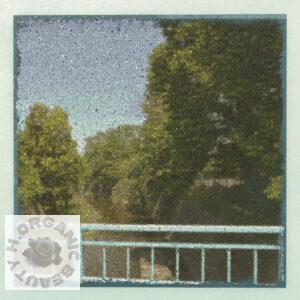 A bridge, a river, and trees in a certain place