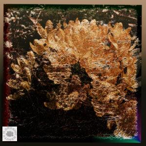 Crocus flowers of bunch