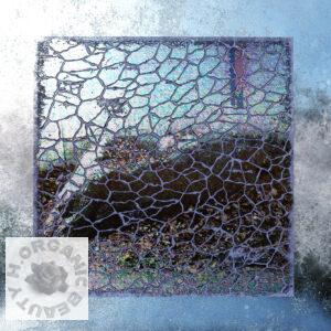 Marble ship and Dandelions