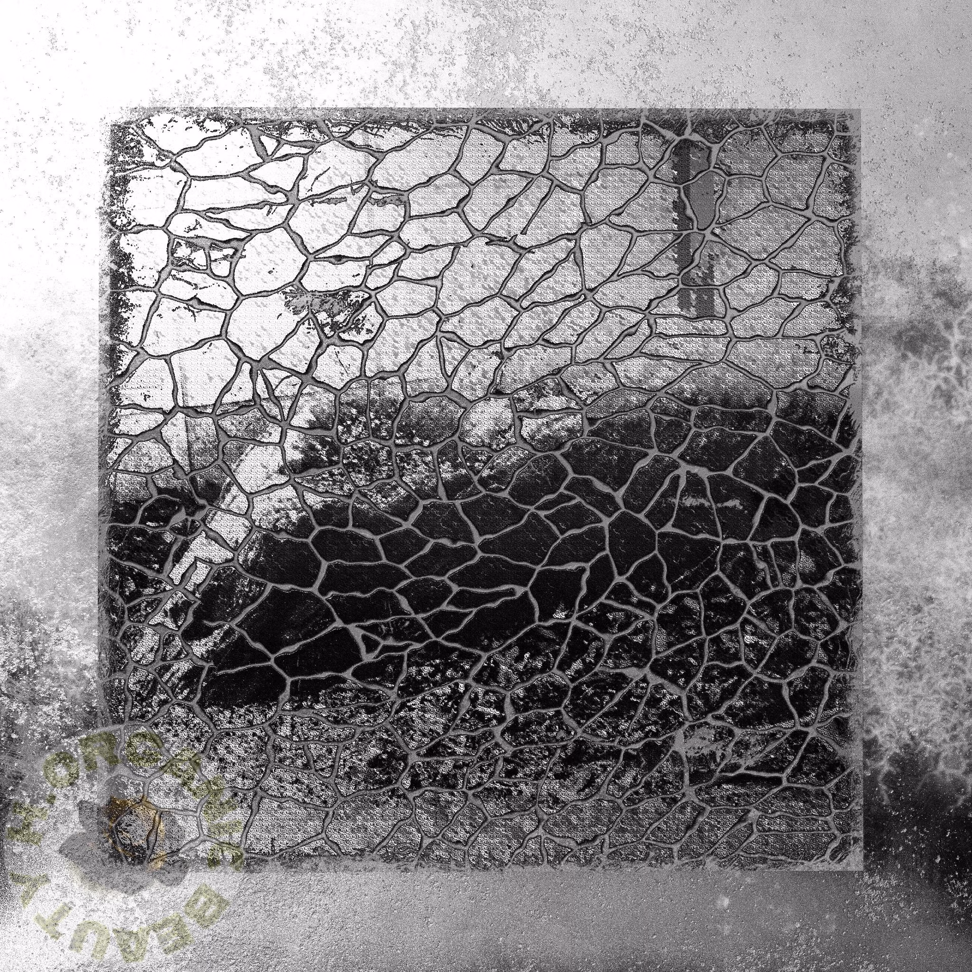 Marble ship and Dandelions classic