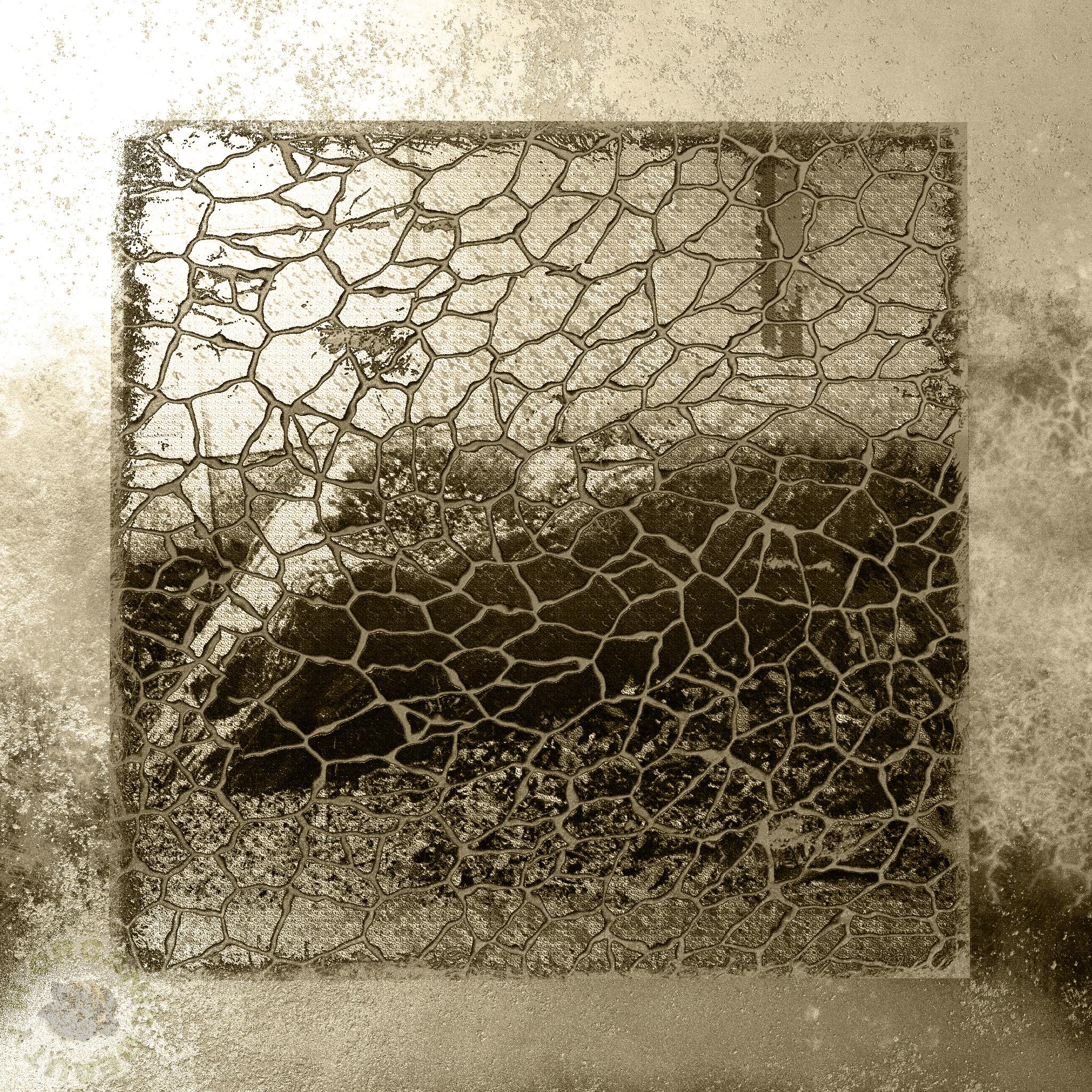 Marble ship and Dandelions sepia