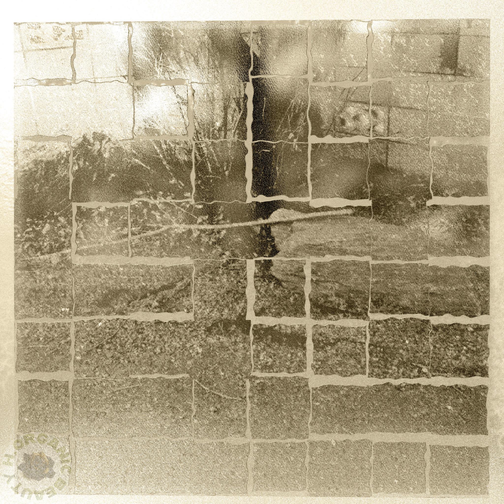 Marble, wood, branches, and marble sepia