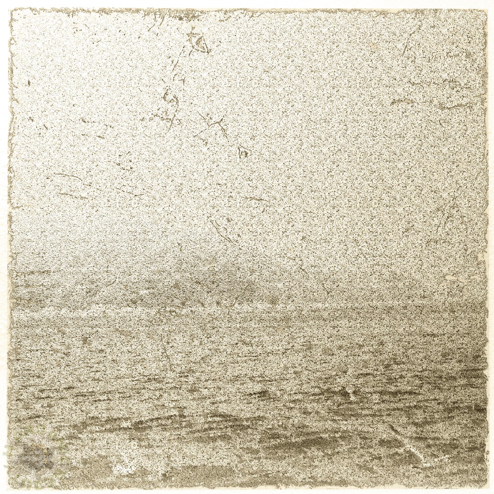 Sea sepia