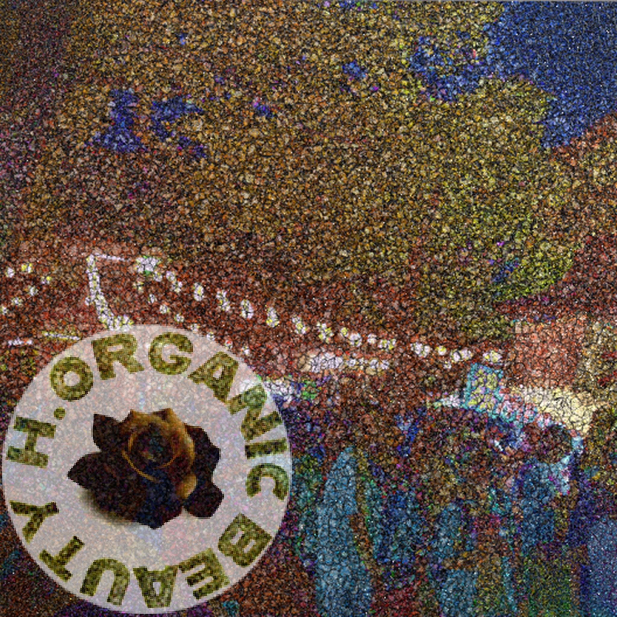 Summer Festival in Japan