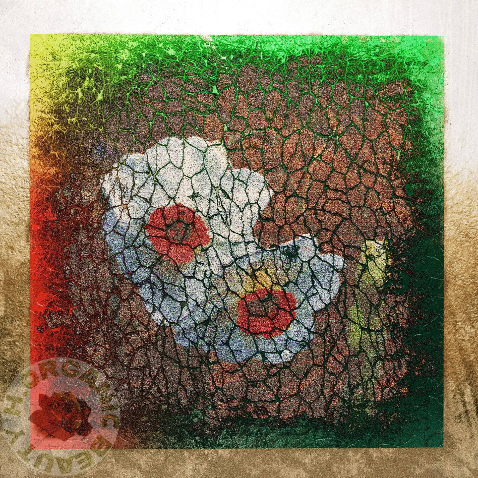 Two Daffodil flowers and buds