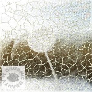 Dandelion fluff and Marble