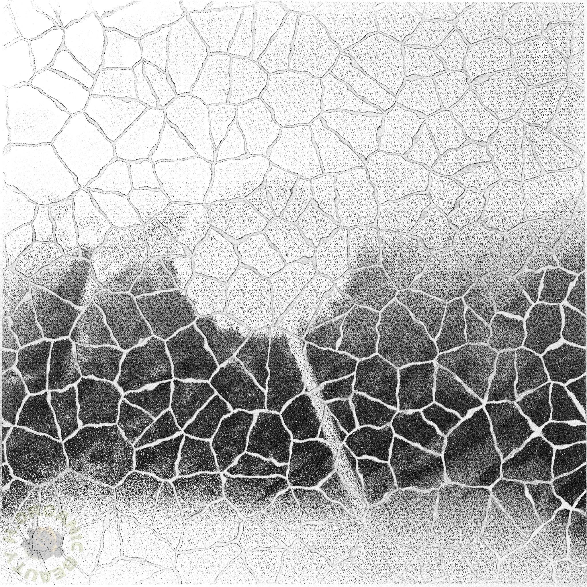 Dandelion fluff and Marble classic