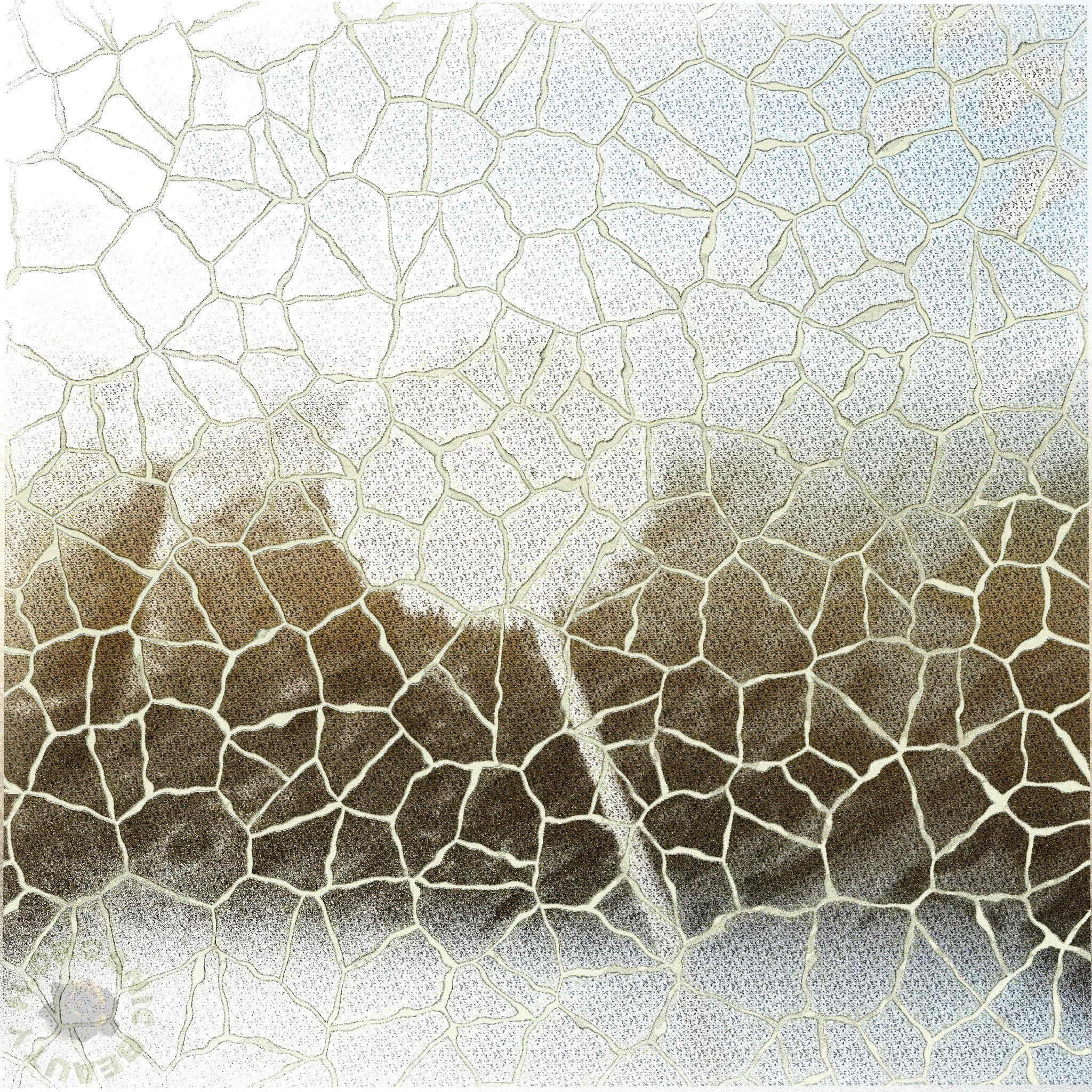 Dandelion fluff and Marble