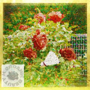 Roses and Badminton shuttlecock