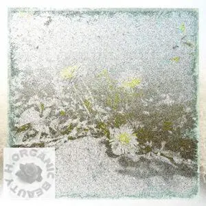 Stone and Dandelions