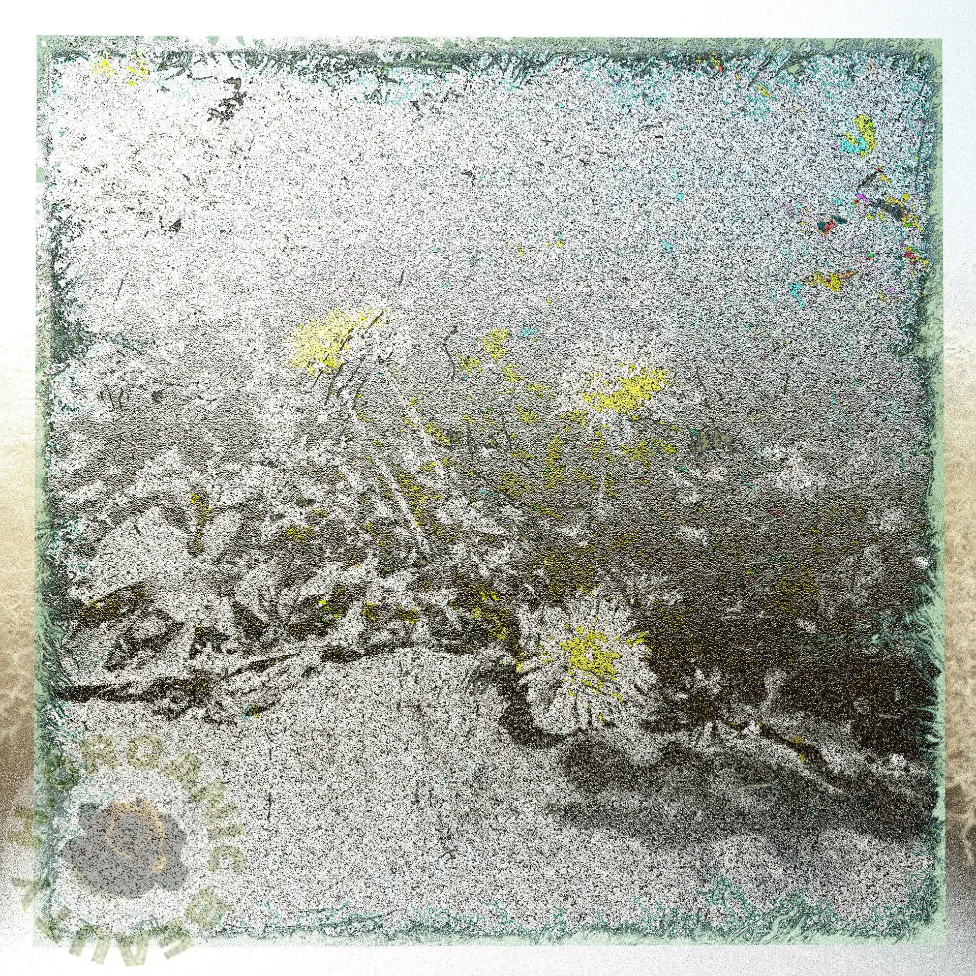 Stone and Dandelions darken