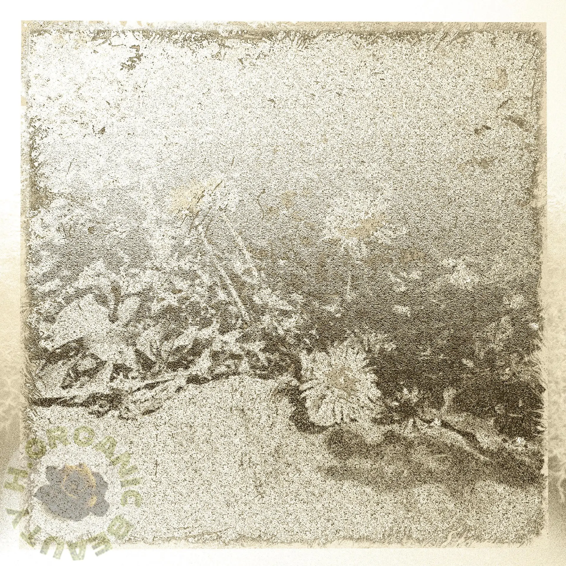 Stone and Dandelions sepia