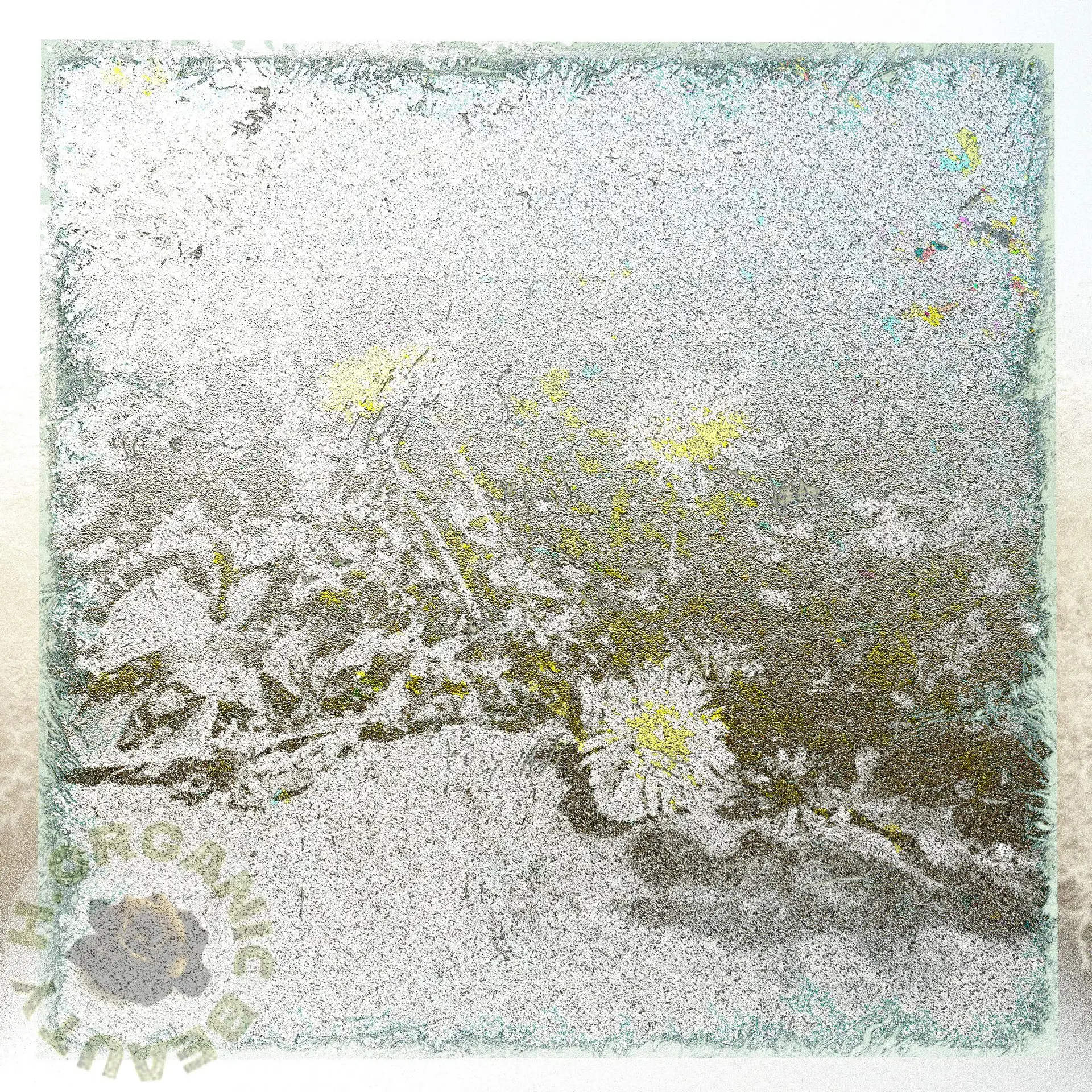 Stone and Dandelions