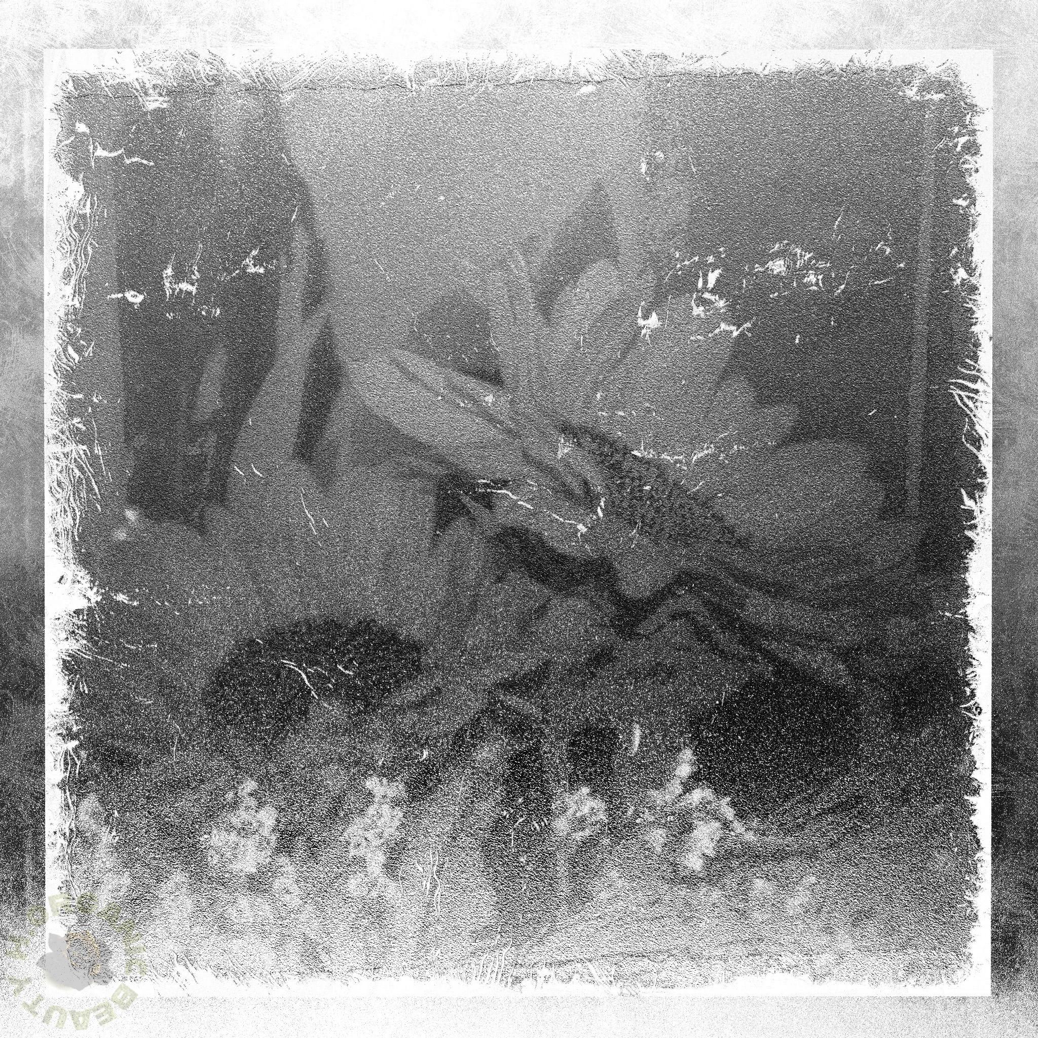 Stained Glass Style “The Sunflowers” - 画像 (4)