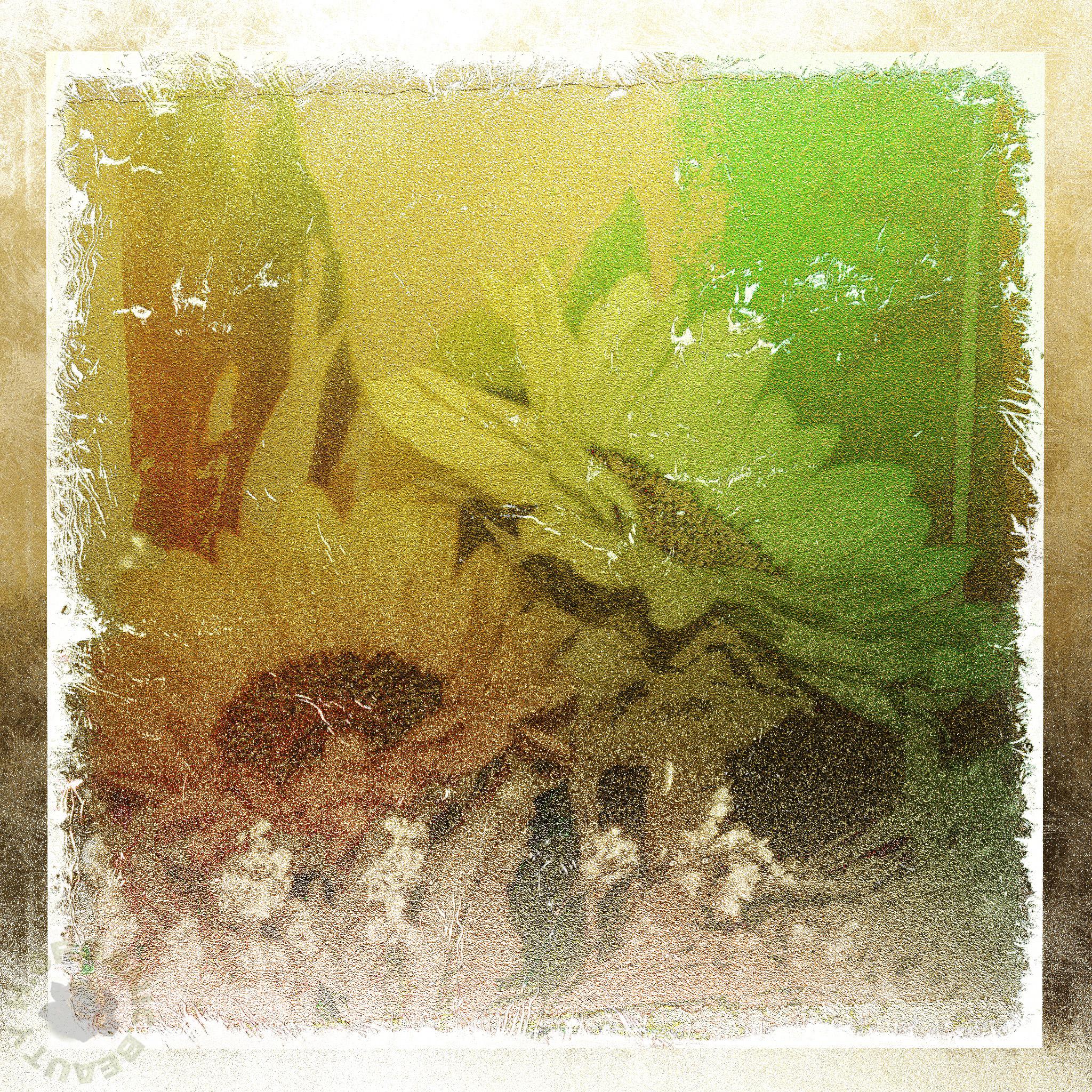 The Sunflowers