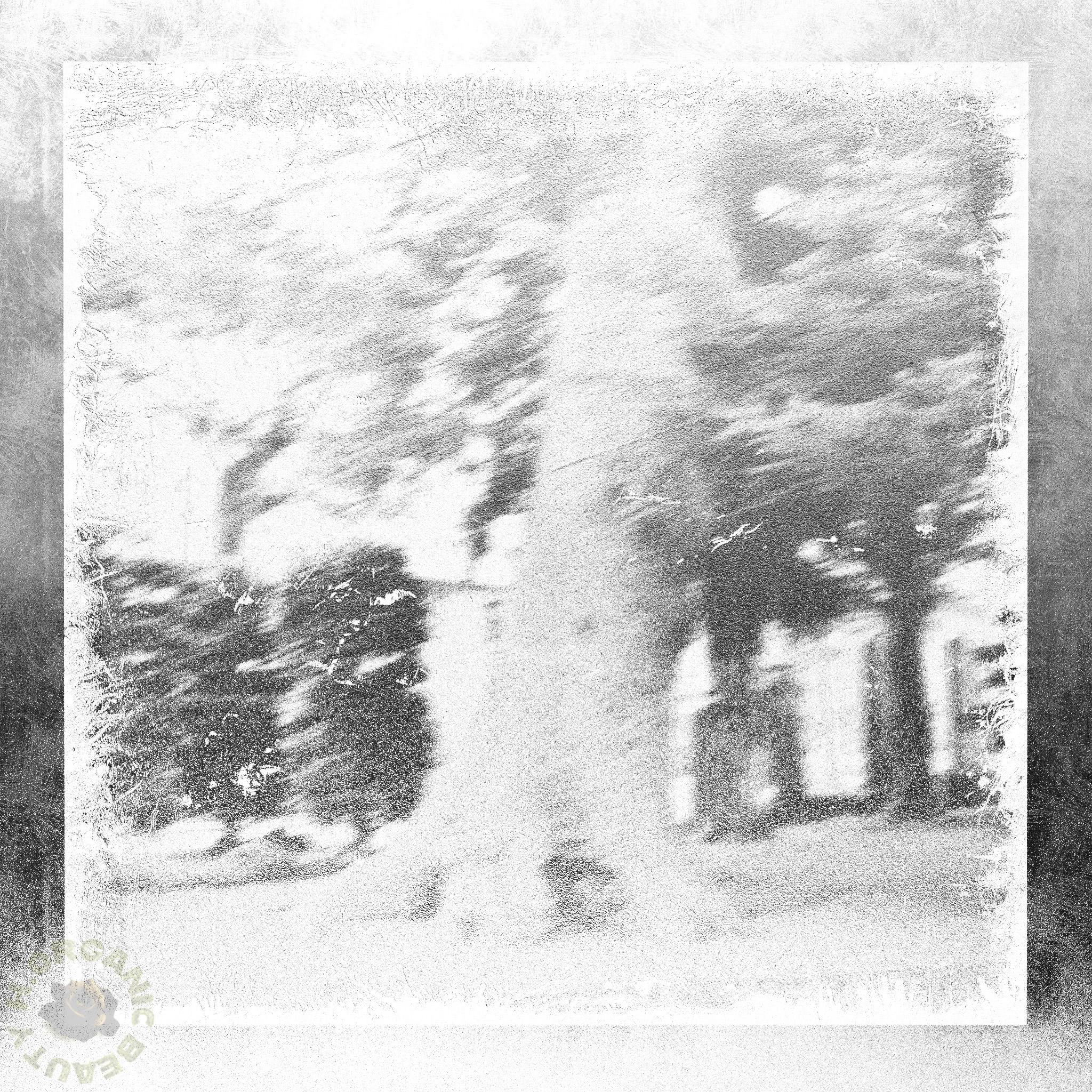 The tree classic