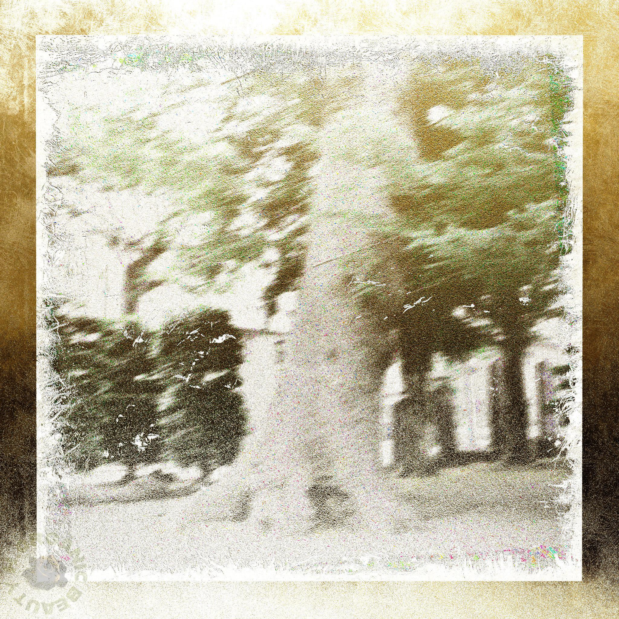 The tree darken